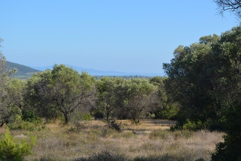Land in Sithonia, Greece, 2 431 sq.m - picture 1