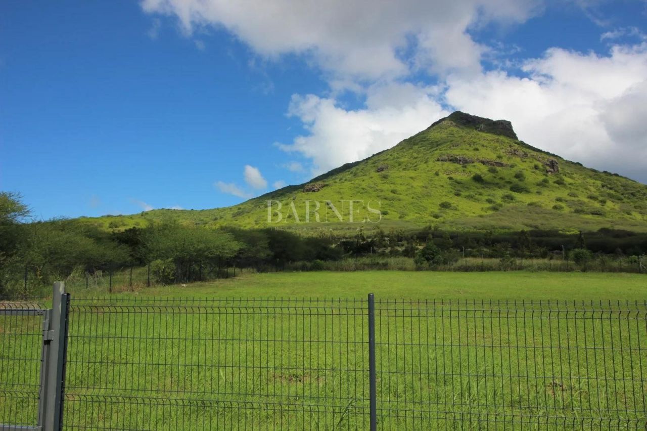 Land in Tamarin, Mauritius, 4 998 sq.m - picture 1