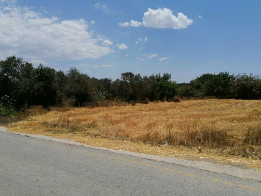 Land in Paphos, Cyprus, 2 007 sq.m - picture 1