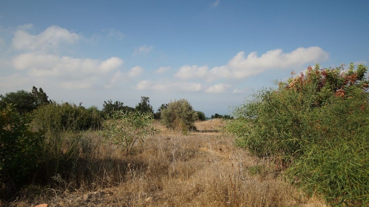 Terrain à Paphos, Chypre, 7 946 m2 - image 1