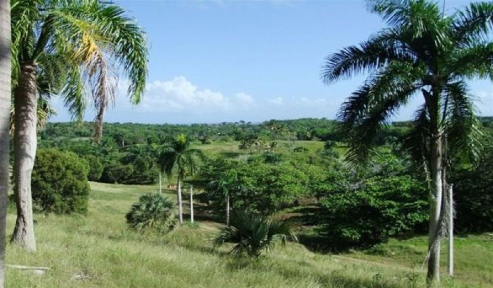 Land in Sosua, Dominican Republic, 25 364 sq.m - picture 1