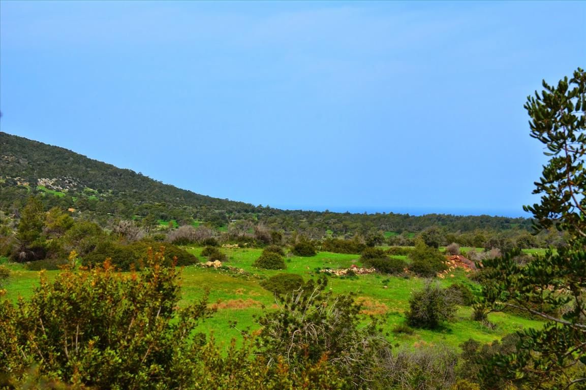 Land in Paphos, Cyprus, 37 459 sq.m - picture 1
