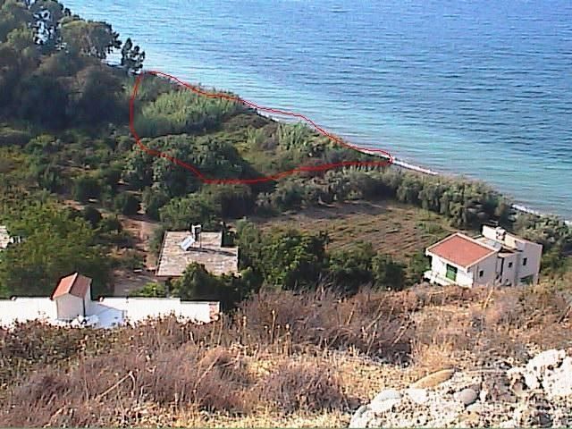 Terrain à Paphos, Chypre, 3 345 m2 - image 1
