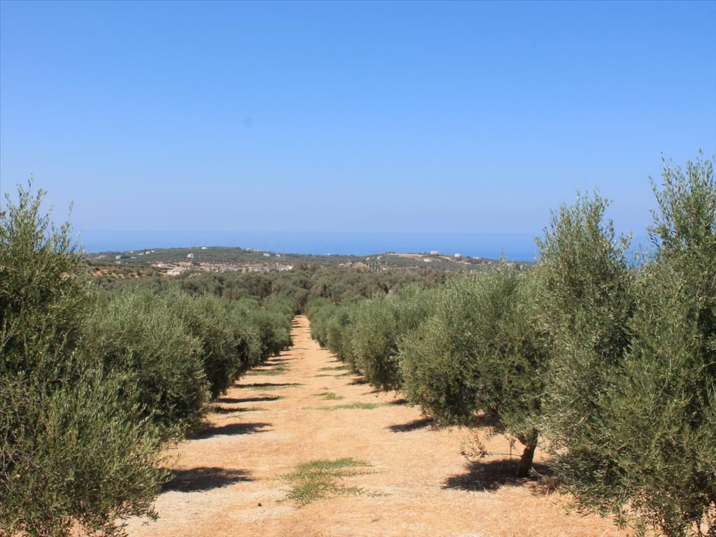 Land in Rethymno, Greece, 5 500 sq.m - picture 1