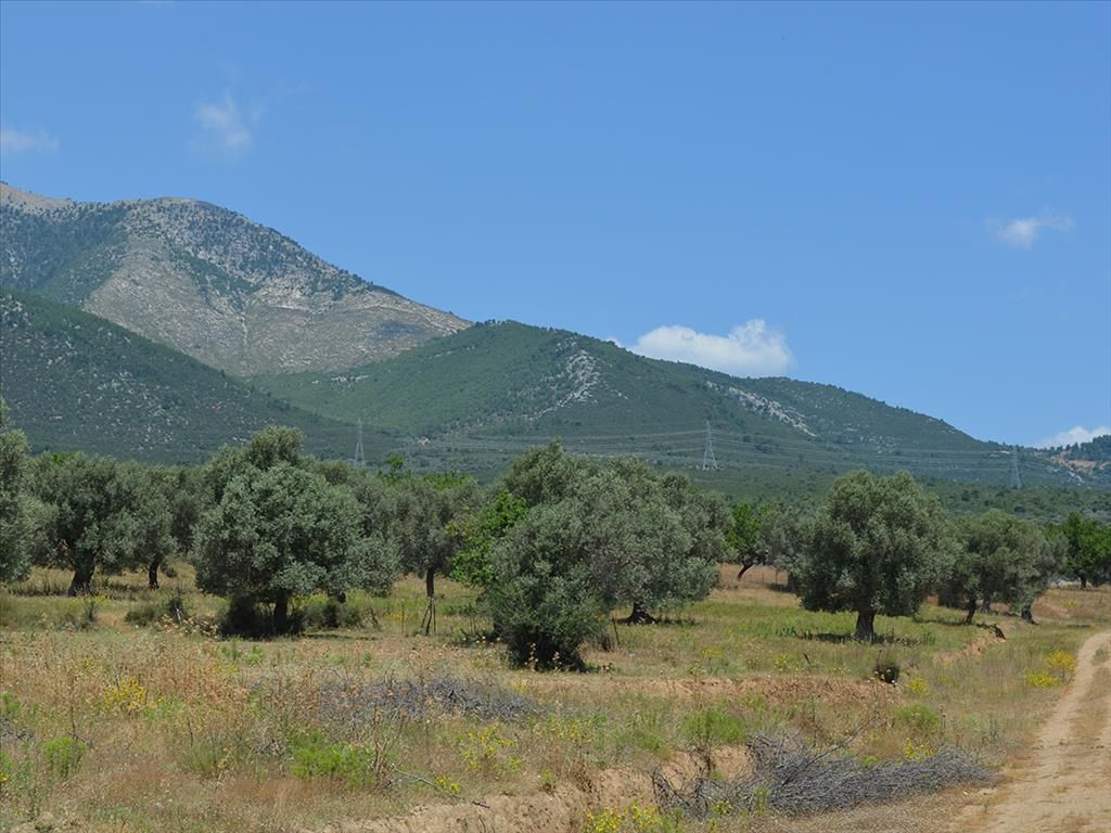 Terrain dans la Préfecture de La Canée, Grèce, 700 m2 - image 1