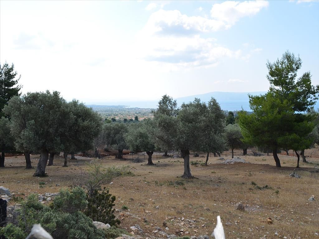 Land in Chania Prefecture, Greece, 8 000 sq.m - picture 1