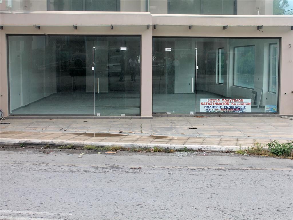 Commercial property on Euboea, Greece, 250 sq.m - picture 1