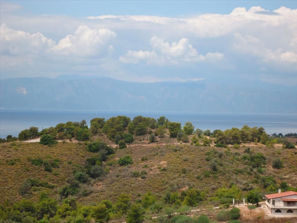 Land in Navplion, Greece, 6 000 sq.m - picture 1