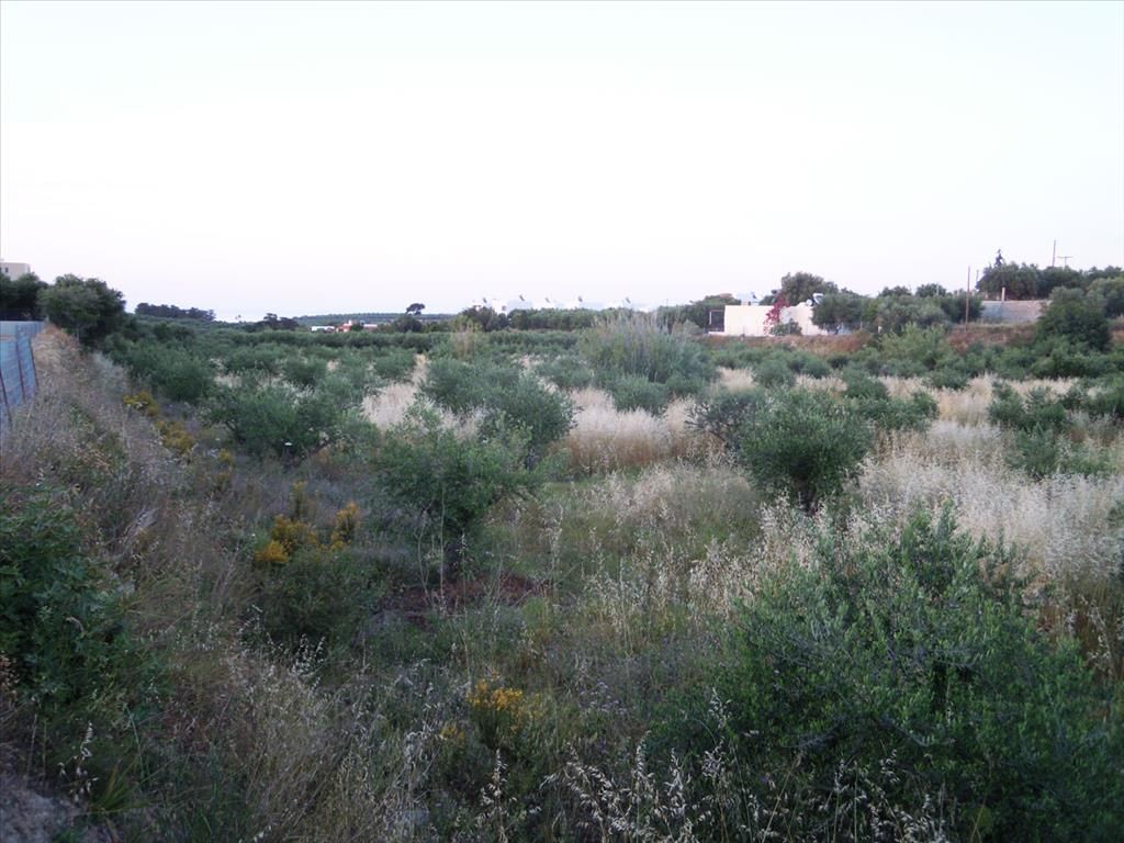 Grundstück in Rethymno, Griechenland, 9 491 m2 - Foto 1