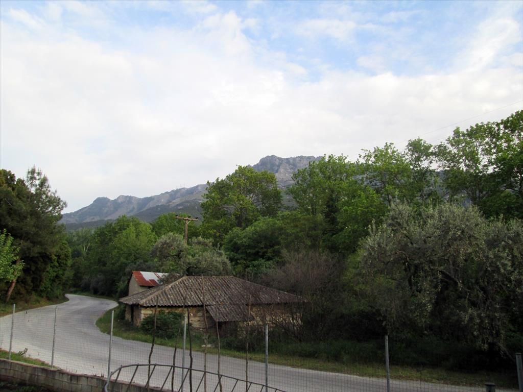 Land on Thasos, Greece, 70 sq.m - picture 1
