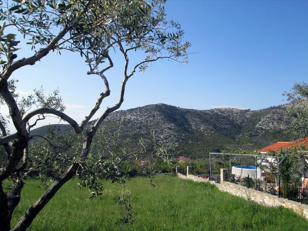 Land on Thasos, Greece, 950 sq.m - picture 1