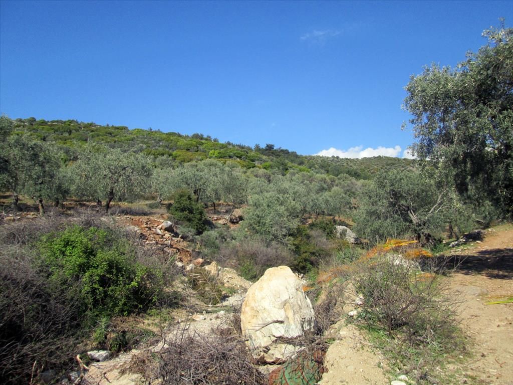 Land on Thasos, Greece, 5 809 sq.m - picture 1