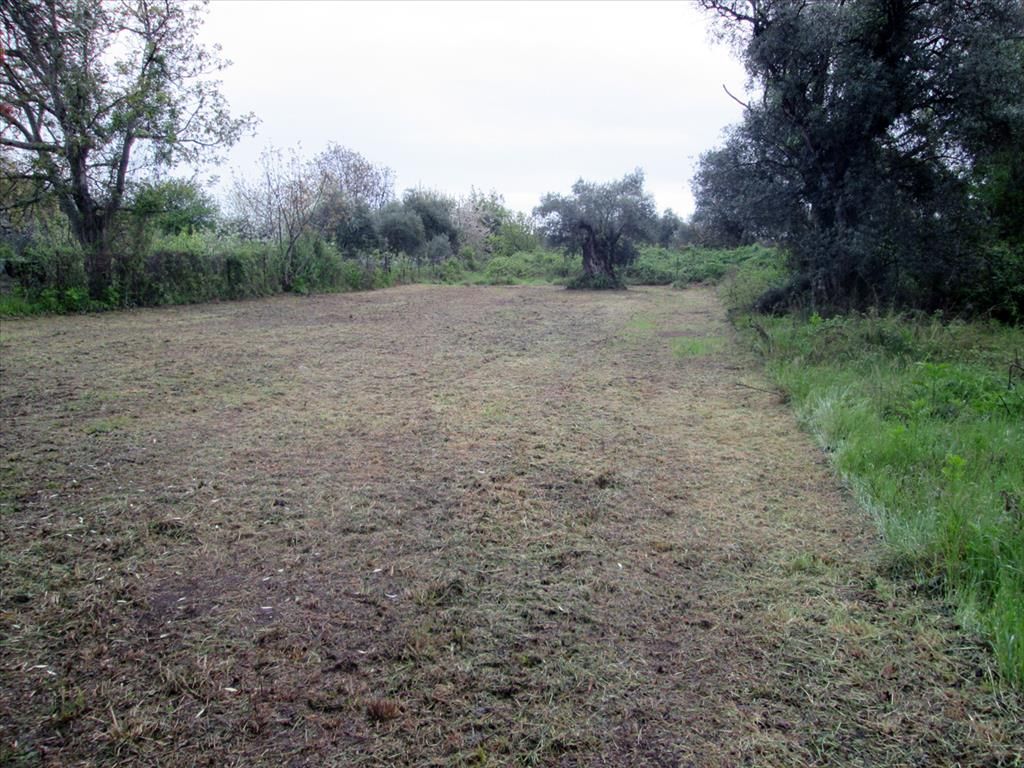 Land on Thasos, Greece, 610 sq.m - picture 1