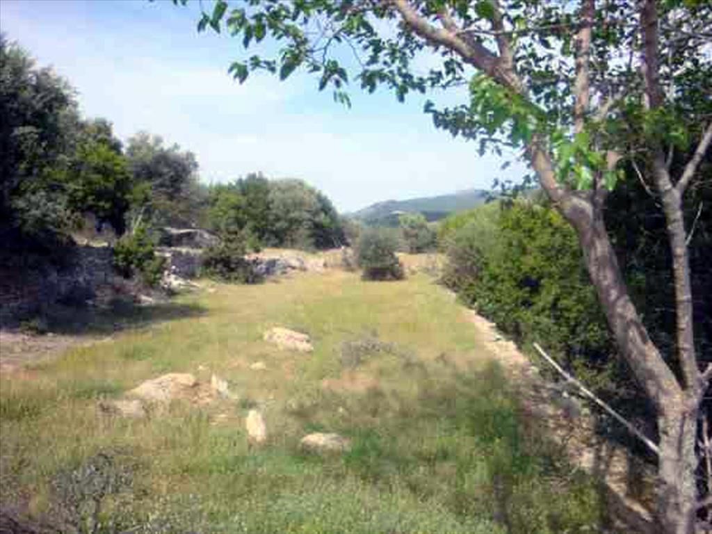 Land on Thasos, Greece, 4 800 sq.m - picture 1