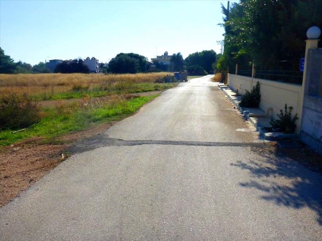 Land in Athens, Greece, 9 000 sq.m - picture 1