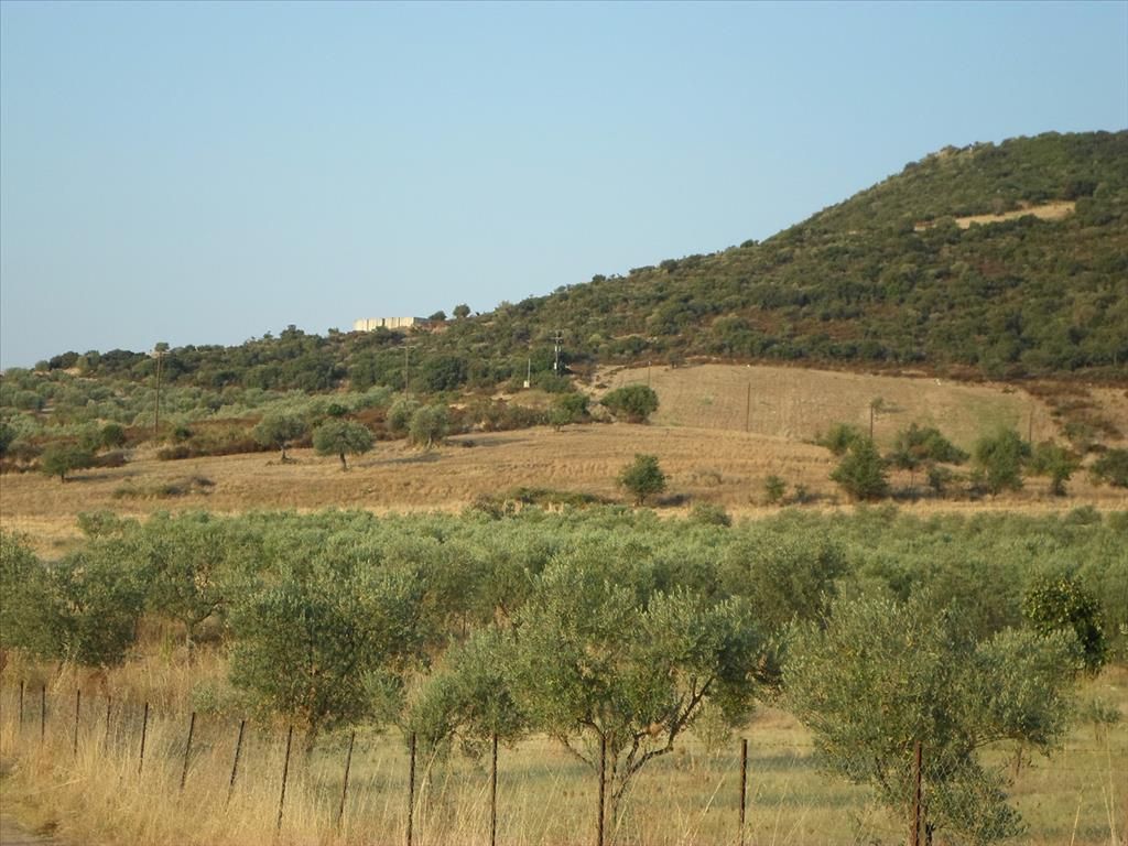 Terrain dans la Préfecture de La Canée, Grèce, 7 500 m2 - image 1