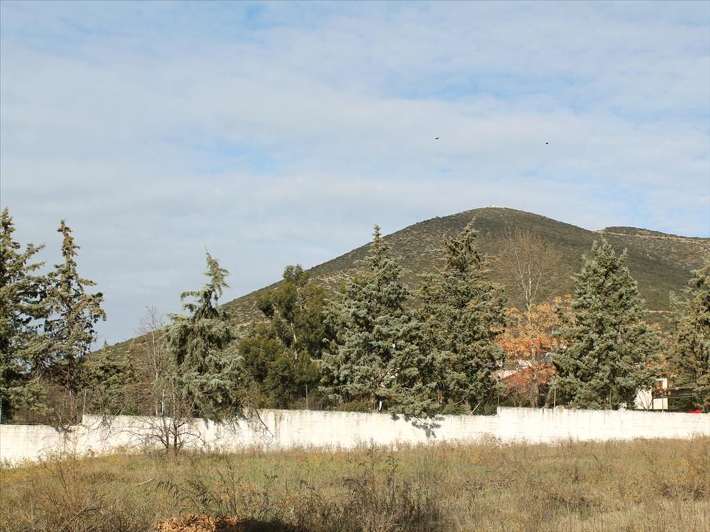 Grundstück in Poligiros, Griechenland, 600 m2 - Foto 1