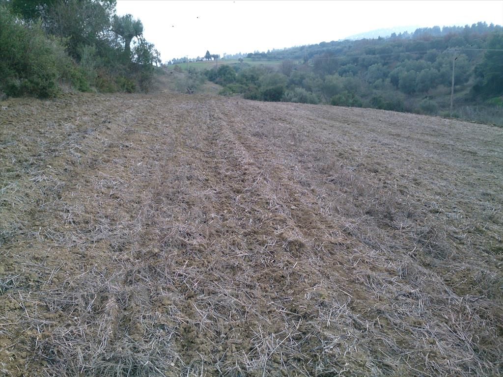 Land in Kassandra, Greece, 7 300 sq.m - picture 1