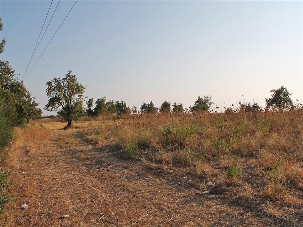 Land in Kassandra, Greece, 2 800 sq.m - picture 1