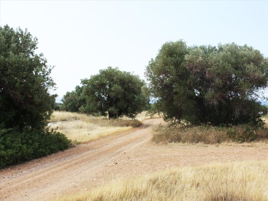 Land in Sithonia, Greece, 302 sq.m - picture 1