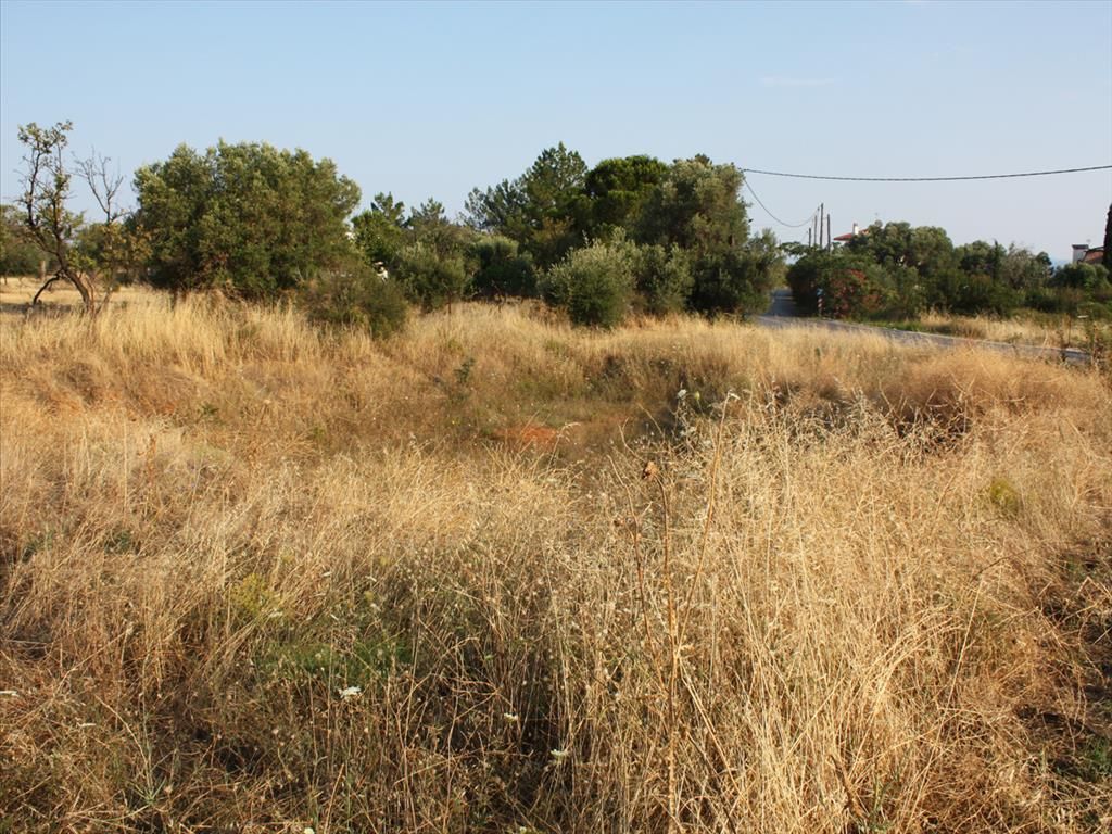 Land in Sithonia, Greece, 605 sq.m - picture 1
