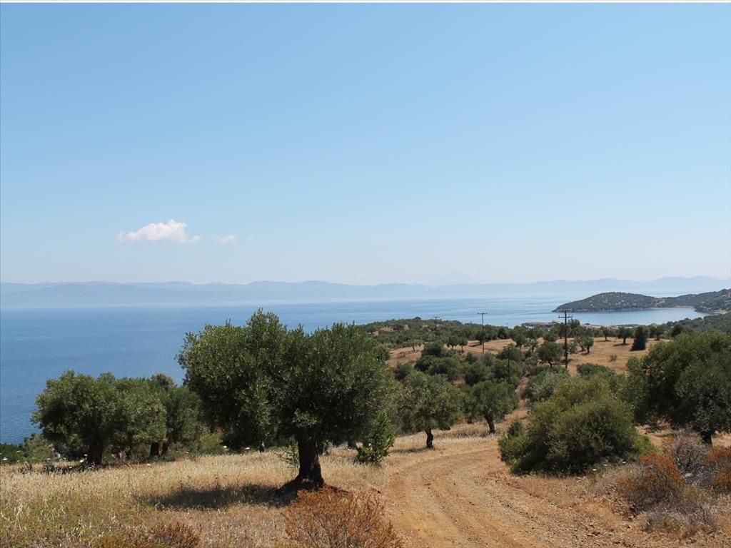 Land in Kassandra, Greece, 26 800 sq.m - picture 1