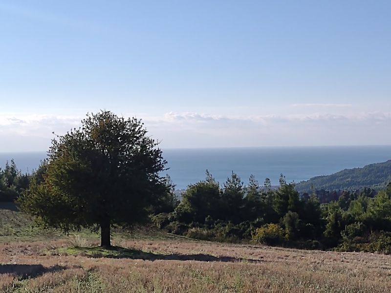 Land in Kassandra, Greece, 6 700 sq.m - picture 1
