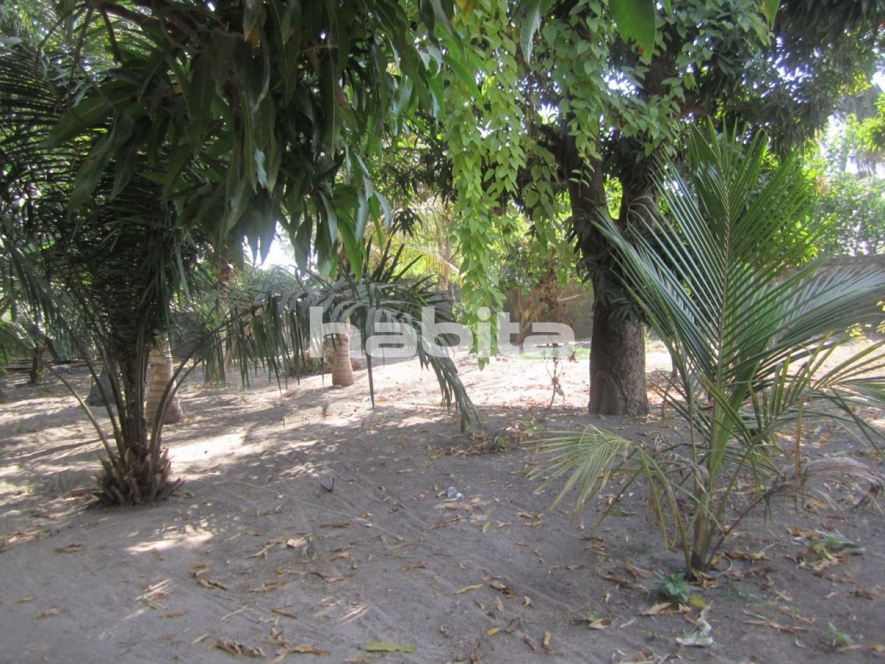 House Gunjur, Gambia, 74 sq.m - picture 1
