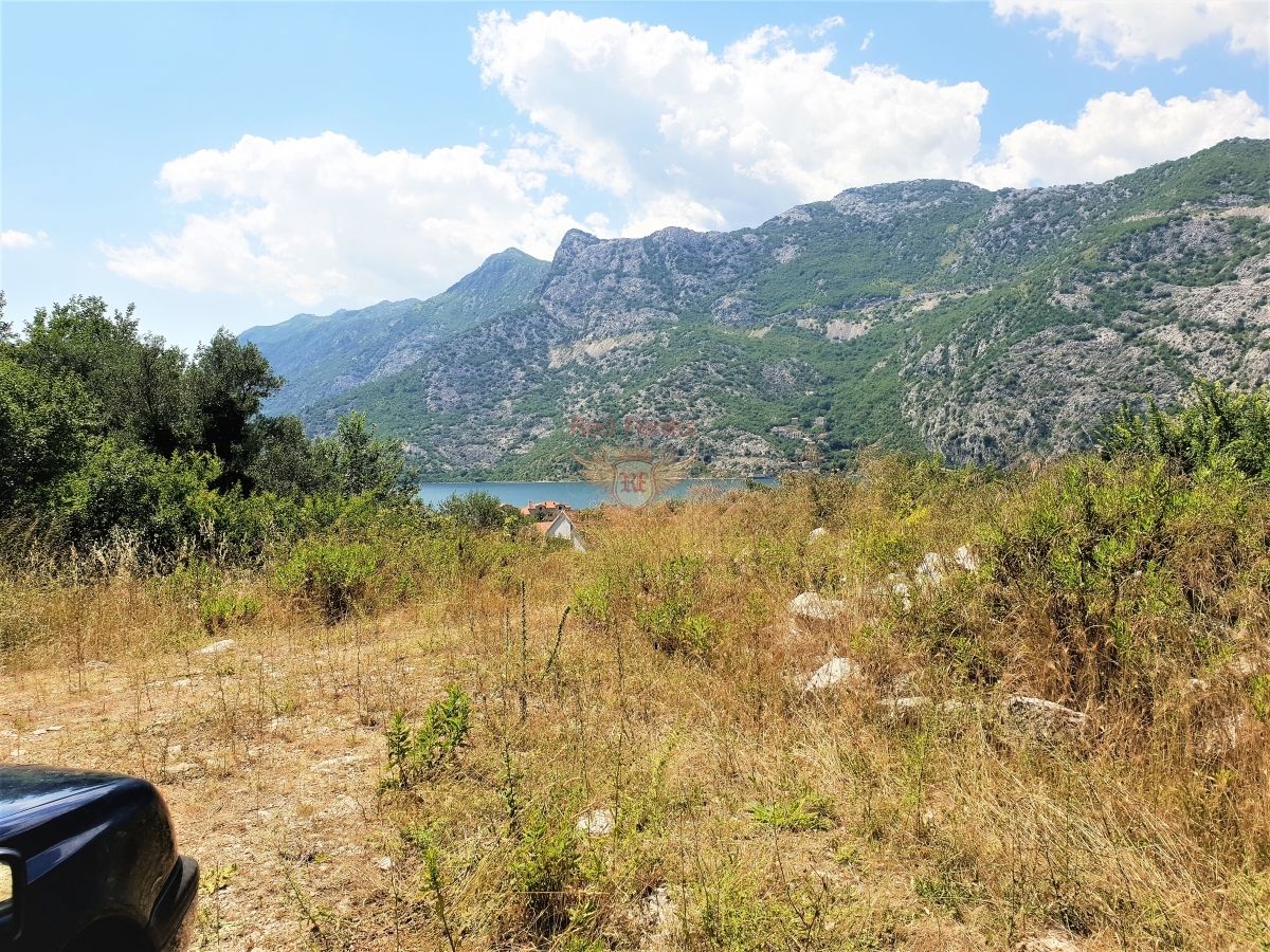 Grundstück in Kotor, Montenegro, 5 000 m2 - Foto 1