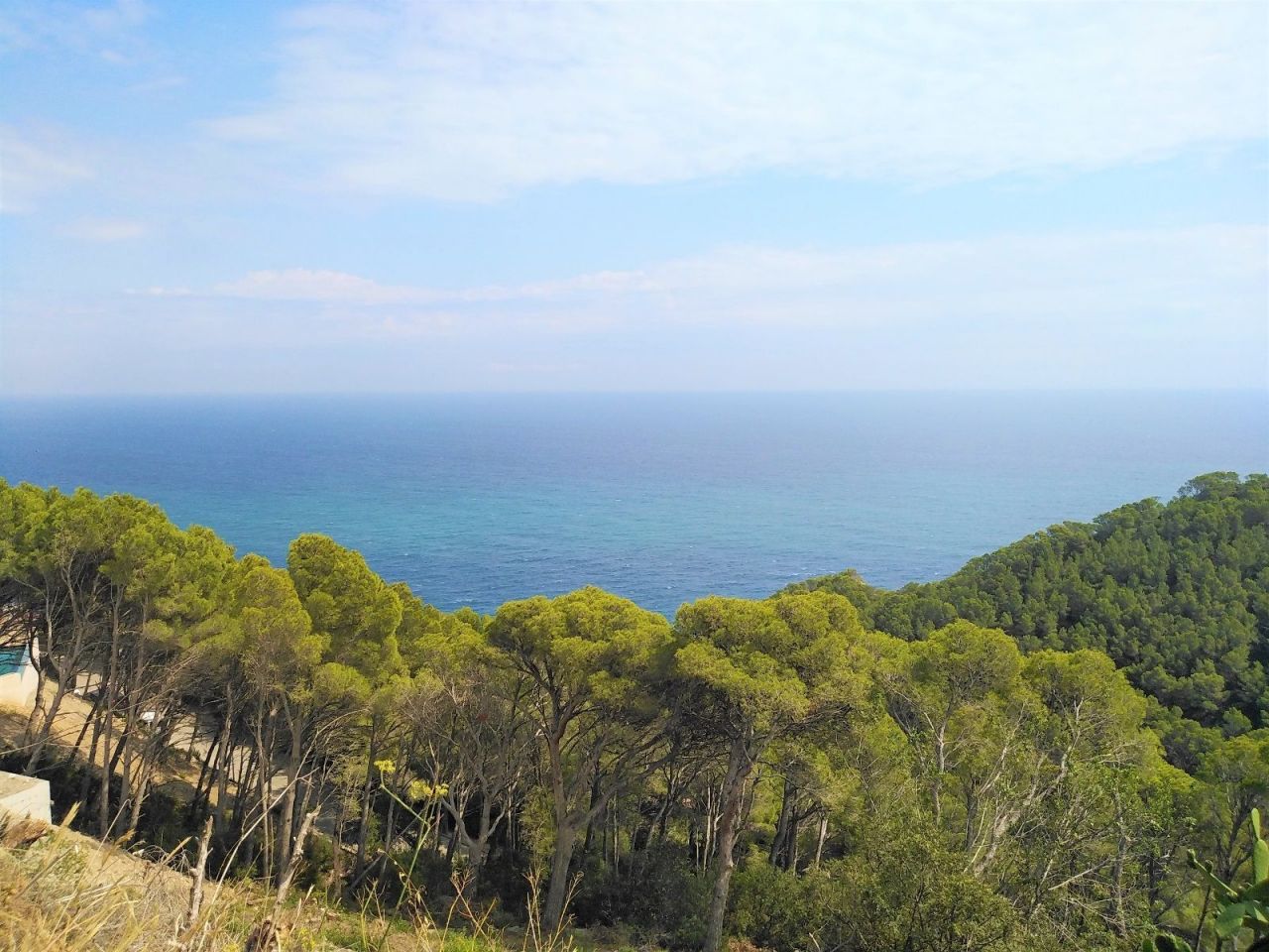 Land in Begur, Spain, 1 353 sq.m - picture 1