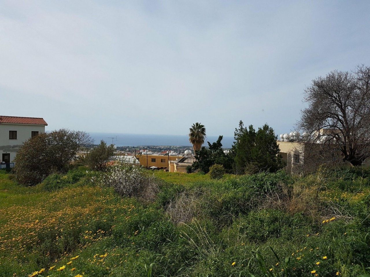 Grundstück in Paphos, Zypern, 750 m2 - Foto 1