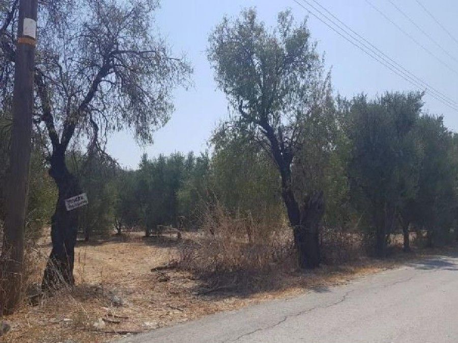 Land in Larnaca, Cyprus, 2 342 sq.m - picture 1