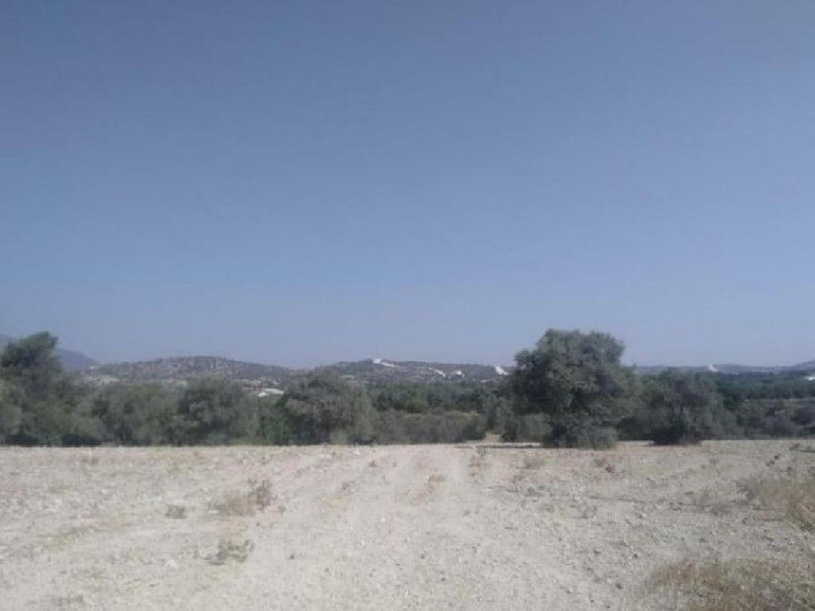 Land in Larnaca, Cyprus, 1 673 sq.m - picture 1
