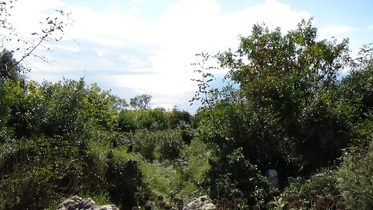 Land in Bar, Montenegro, 9 569 sq.m - picture 1