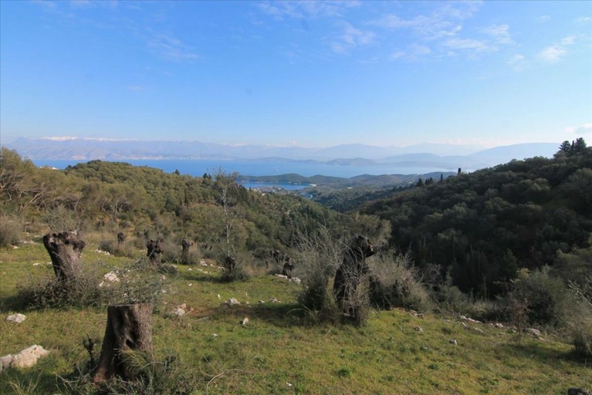 Land on Ionian Islands, Greece, 6 000 ares - picture 1