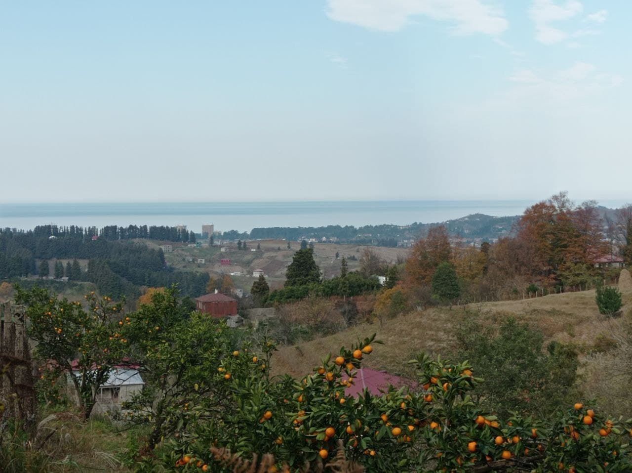 Grundstück in Batumi, Georgien, 45 ar - Foto 1