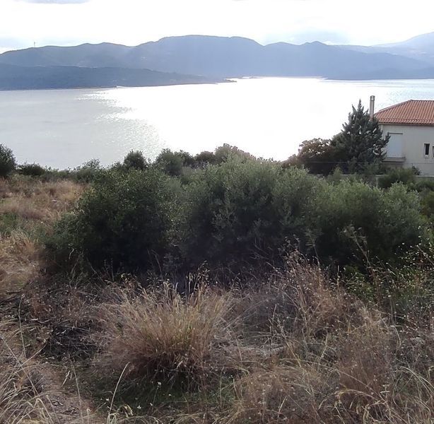 Land in Phthiotis, Greece, 1 020 sq.m - picture 1