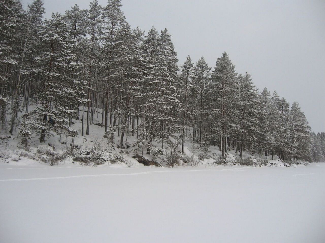 Land in Kuhmo, Finland, 8.72 hectares - picture 1