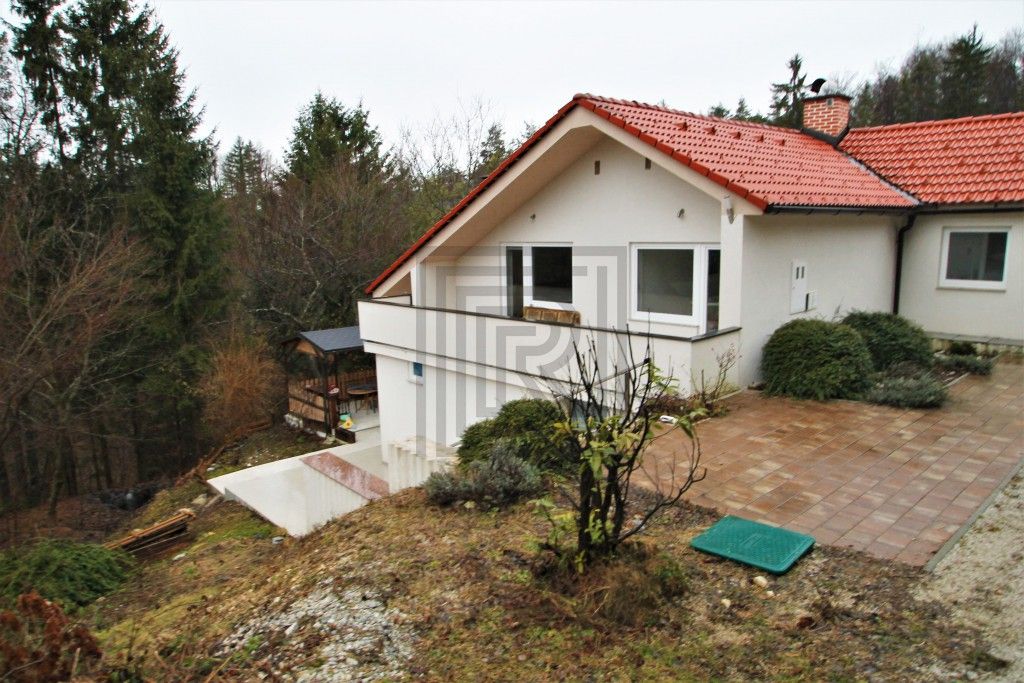 House in Ljubljana, Slovenia, 160 sq.m - picture 1