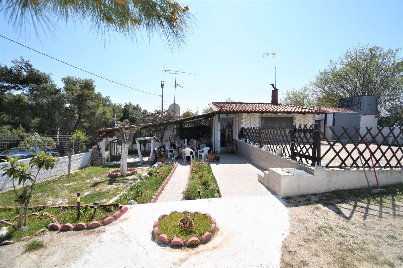 House in Loutraki, Greece, 40 sq.m - picture 1