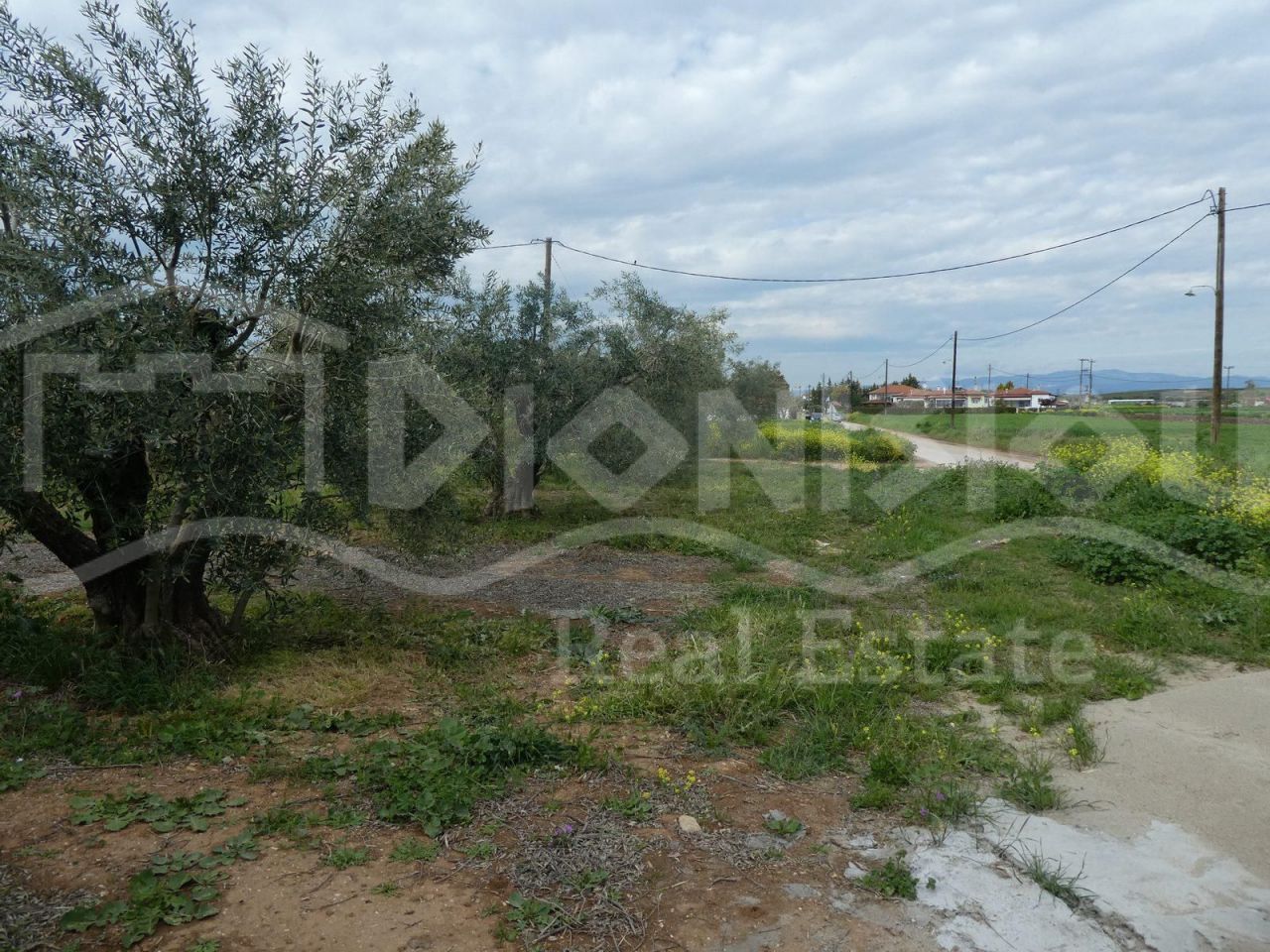 Land in Chalkidiki, Greece, 2 700 sq.m - picture 1