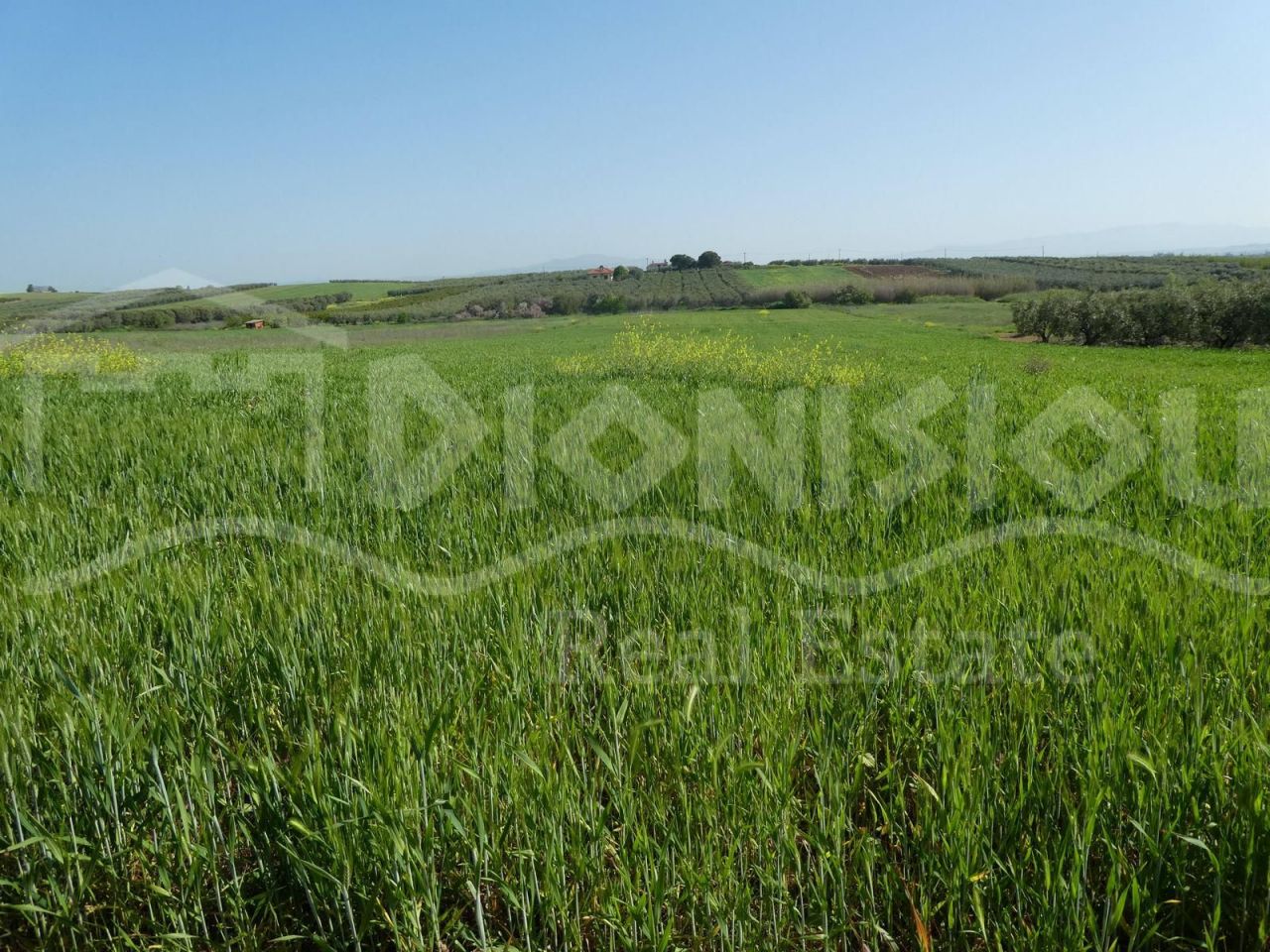 Land in Chalkidiki, Greece, 7 250 sq.m - picture 1