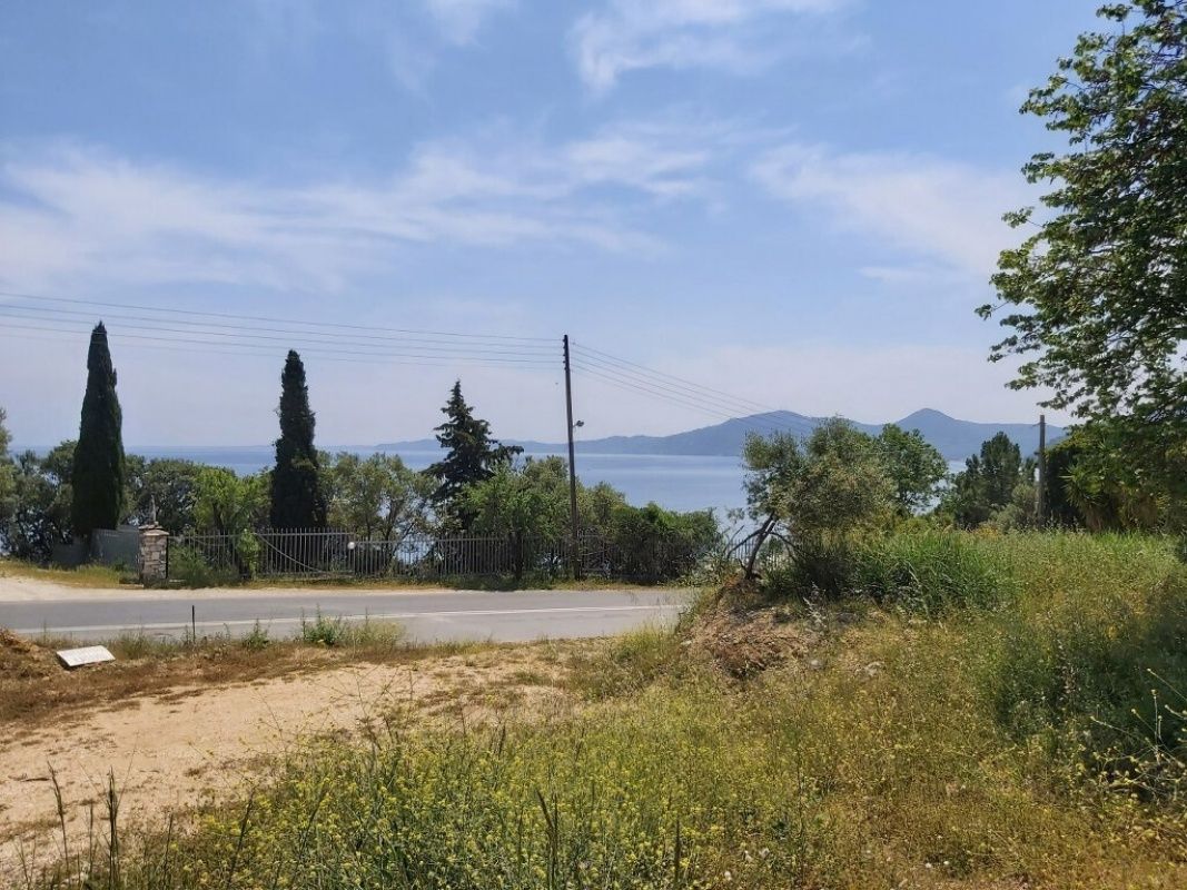 Land on Ionian Islands, Greece, 6 000 ares - picture 1
