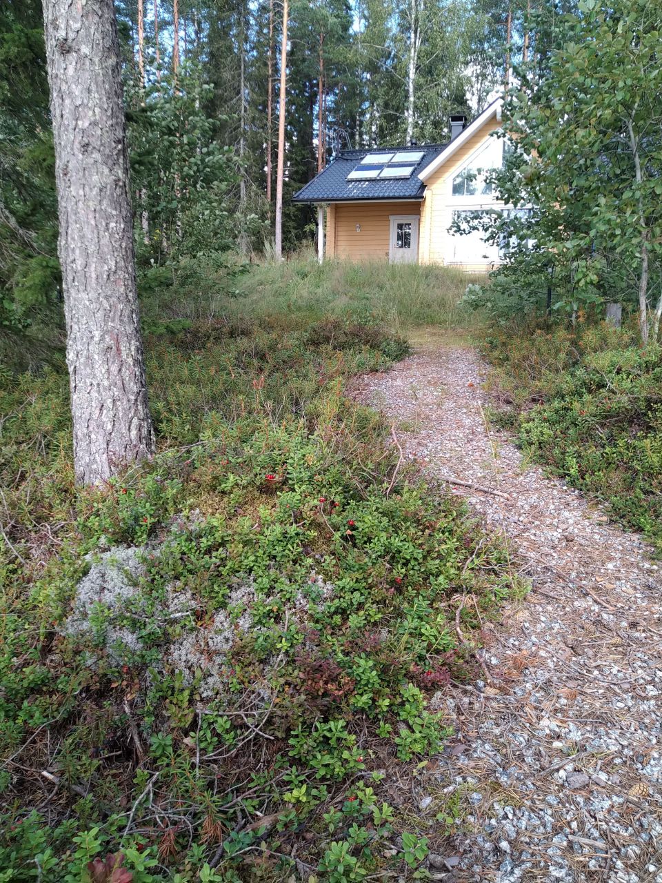 Cottage in Ahtari, Finland, 108 sq.m - picture 1