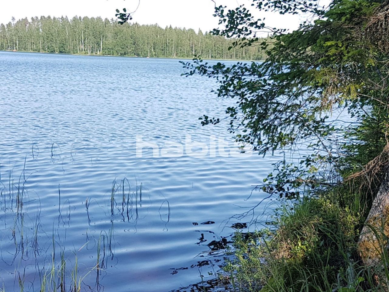 Terreno en Ruokolahti, Finlandia, 5 430 m2 - imagen 1