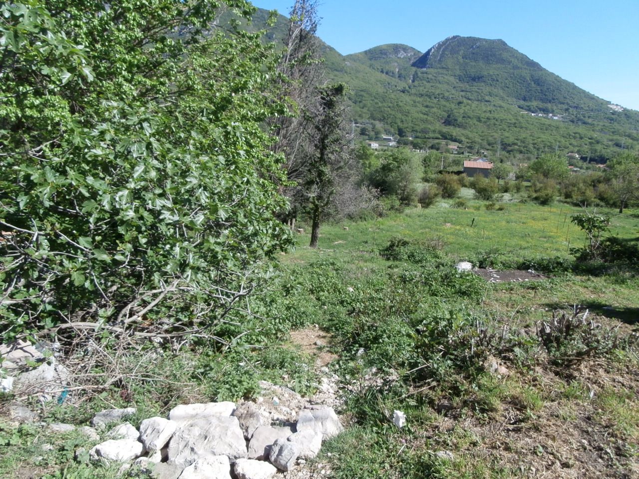 Land in Bar, Montenegro, 724 sq.m - picture 1