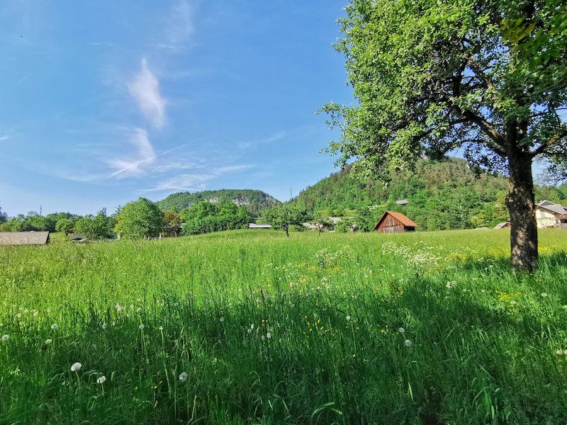 Grundstück in Bled, Slowenien, 761 m2 - Foto 1
