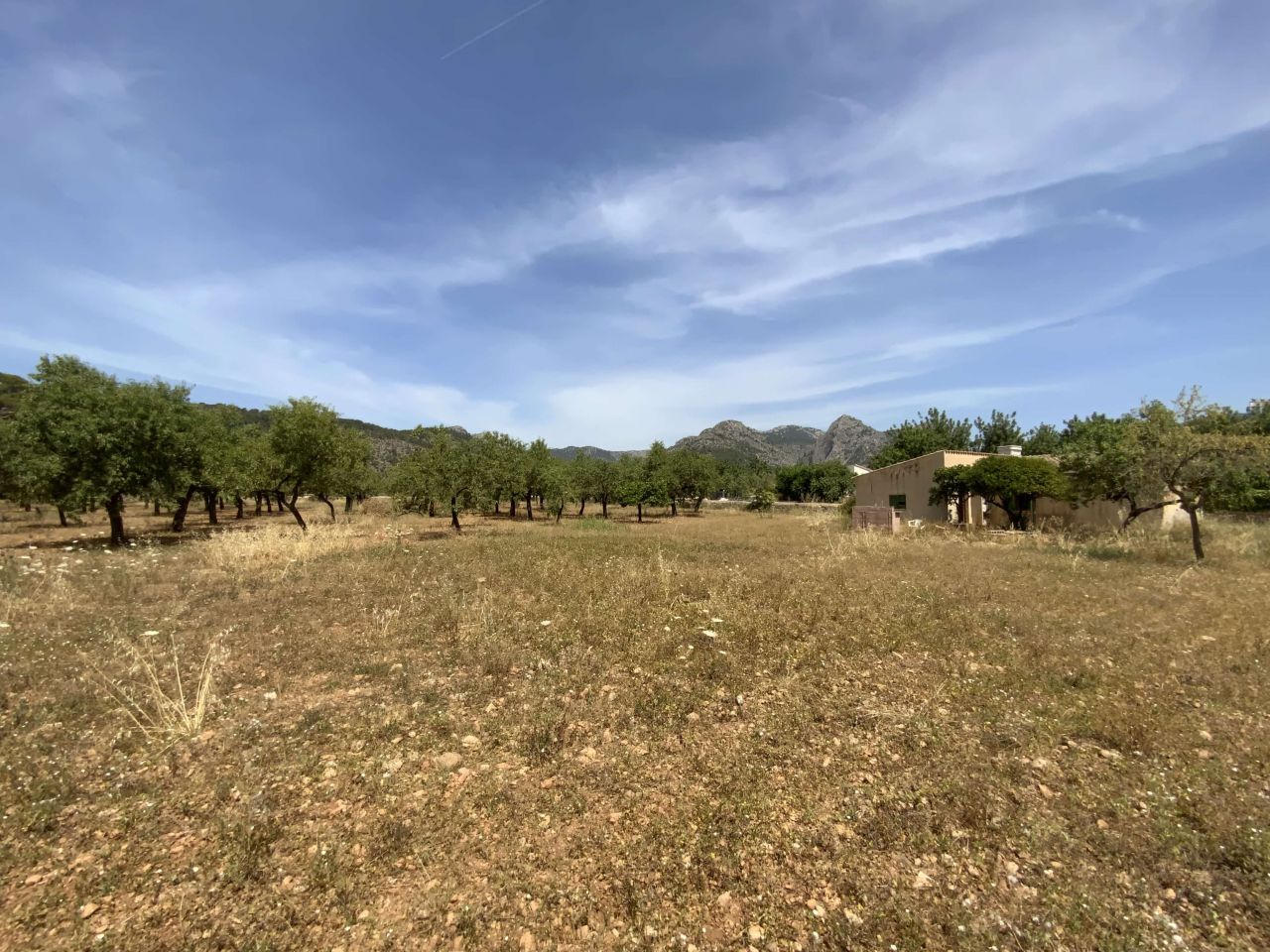 Land in Bunyola, Spain, 14 791 sq.m - picture 1