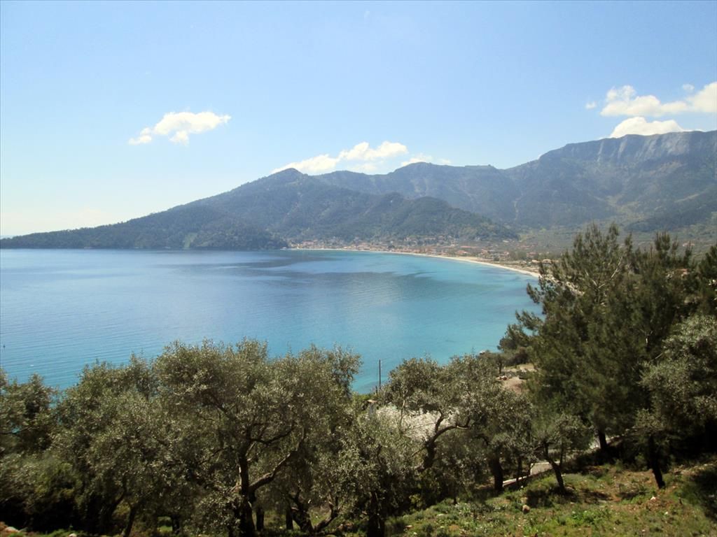 Land on Thasos, Greece, 11 700 sq.m - picture 1