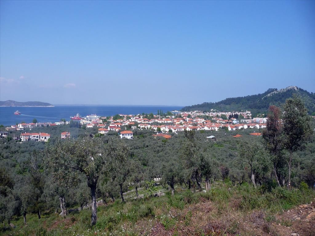 Land on Thasos, Greece, 18 250 sq.m - picture 1